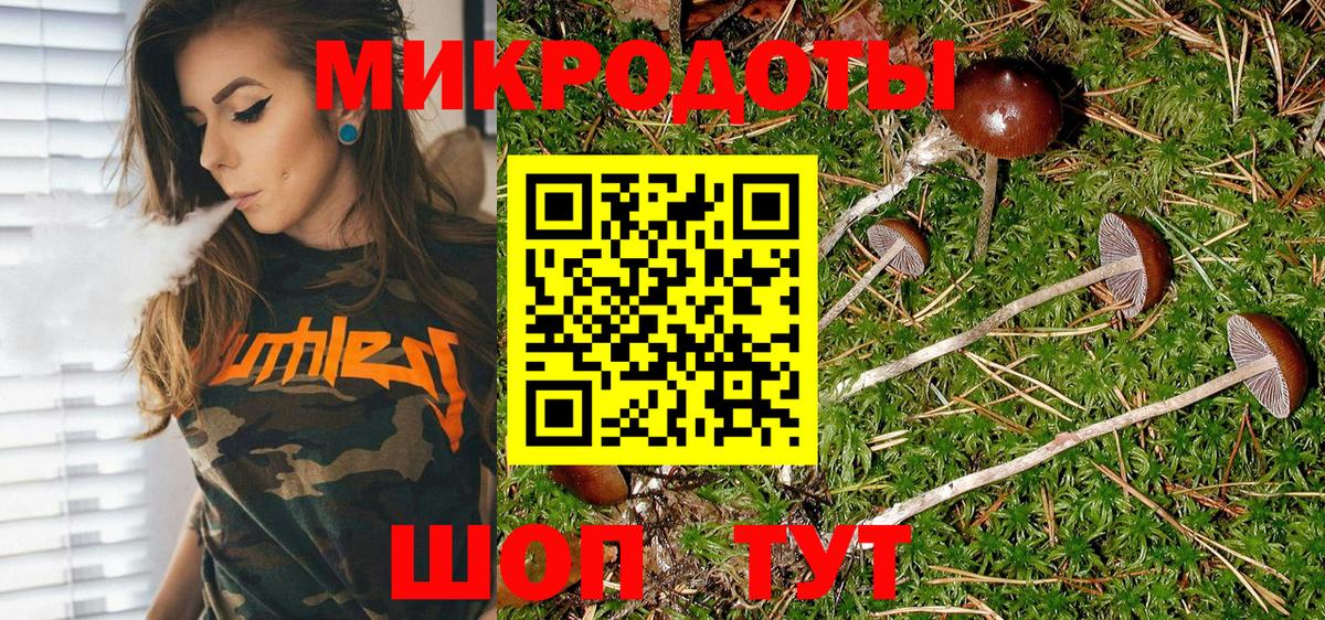 Псилоцибиновые грибы GOLDEN TEACHER  Вход с VPN  Касимов 